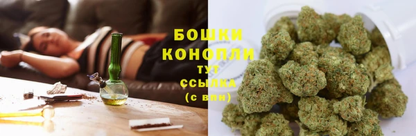 гашик Белоозёрский