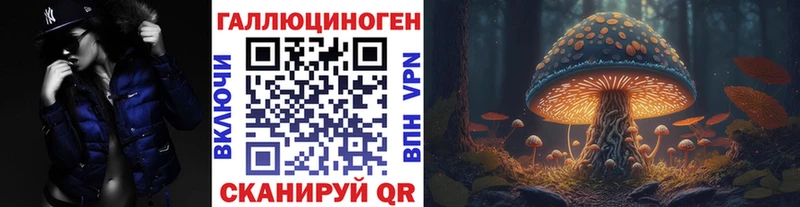 Псилоцибиновые грибы Psilocybe  Кудрово 